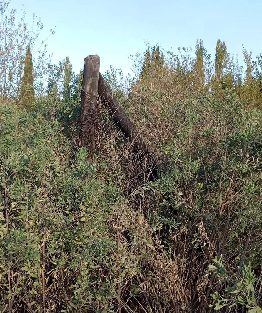 Venta terreno de 2000 m2 en Corralitos 4