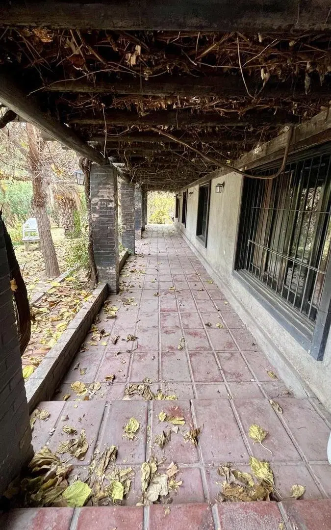 Venta de casa quinta y salon de eventos Lujan de Cuyo 2