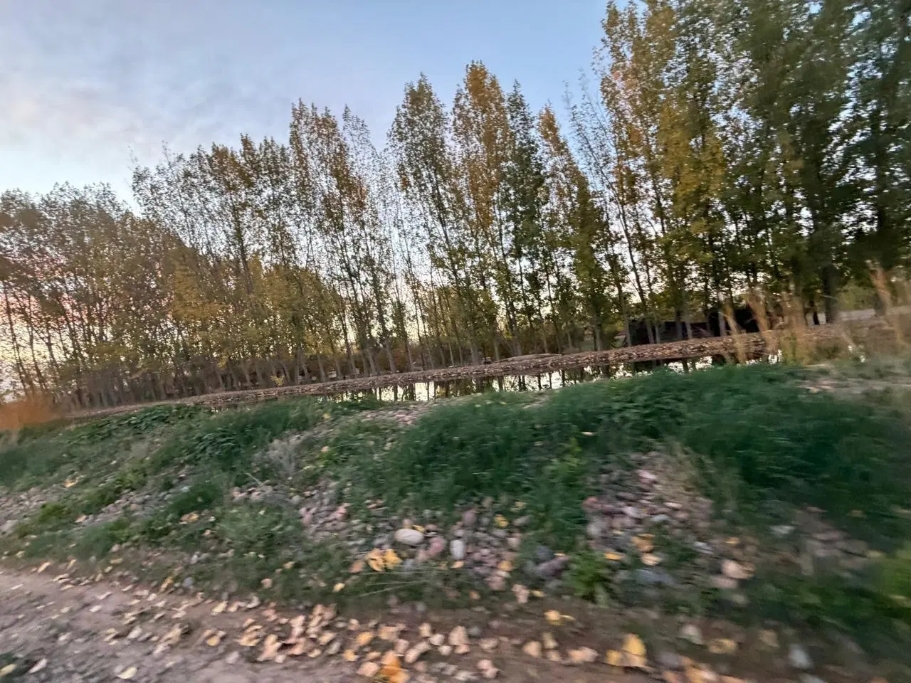 Venta importante galpón en una hectárea y media de terreno en Agrelo, Luján. 5
