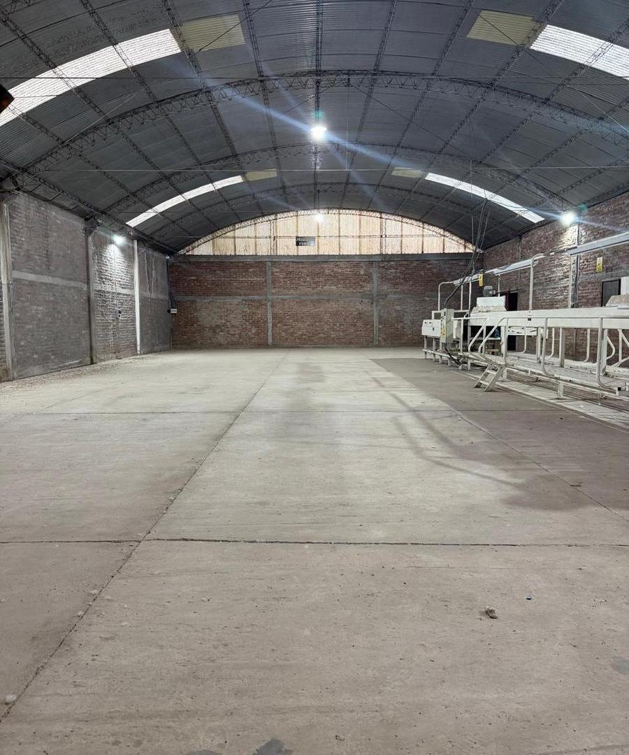 Foto de Venta importante galpón en una hectárea y media de terreno en Agrelo, imagen 1