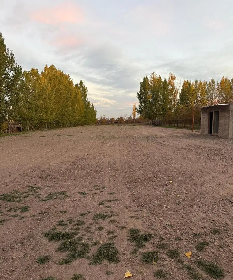 Venta importante galpón en una hectárea y media de terreno en Agrelo, Luján. 4