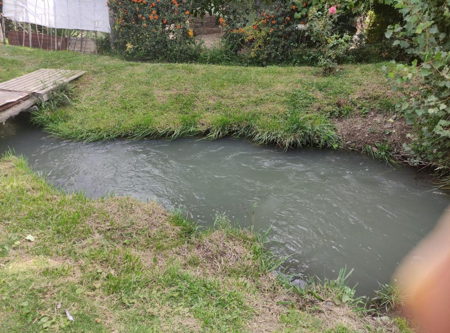 Foto de Finca en venta 10hs La Arboleda Tupungato riego definitivo, imagen 4