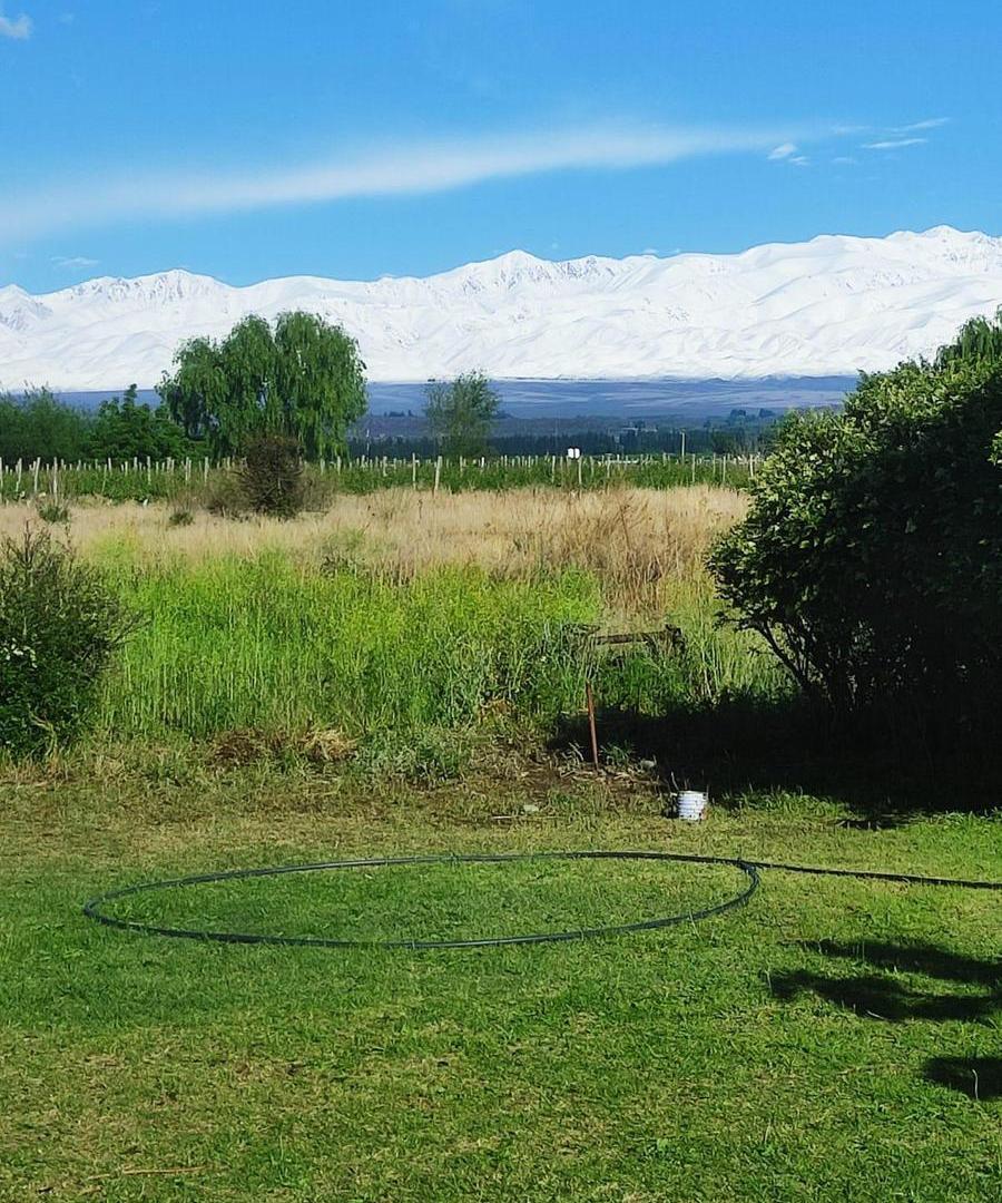 Foto de Finca en venta 10hs La Arboleda Tupungato riego definitivo, imagen 5