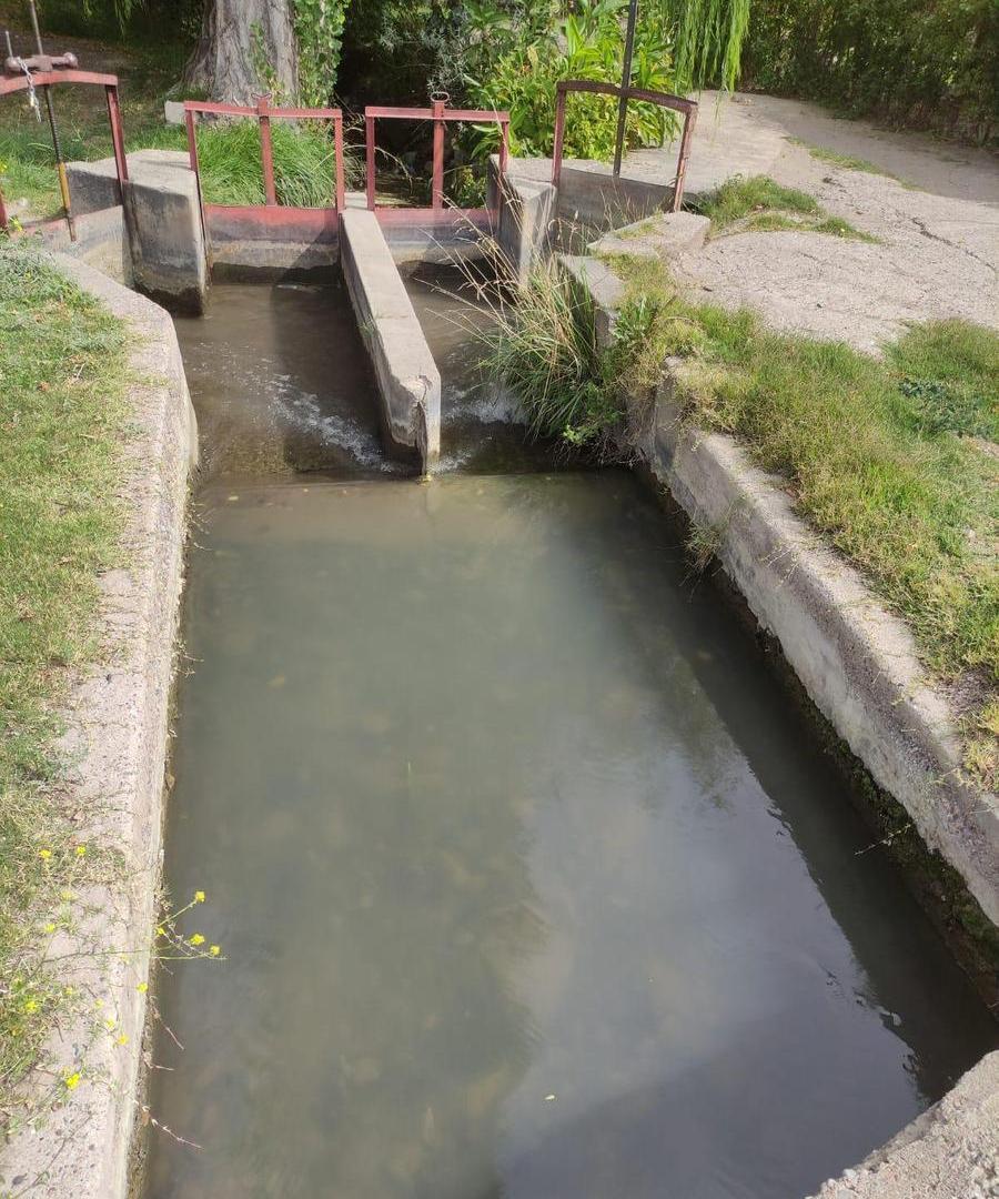 Foto de Finca en venta 10hs La Arboleda Tupungato riego definitivo, imagen 3