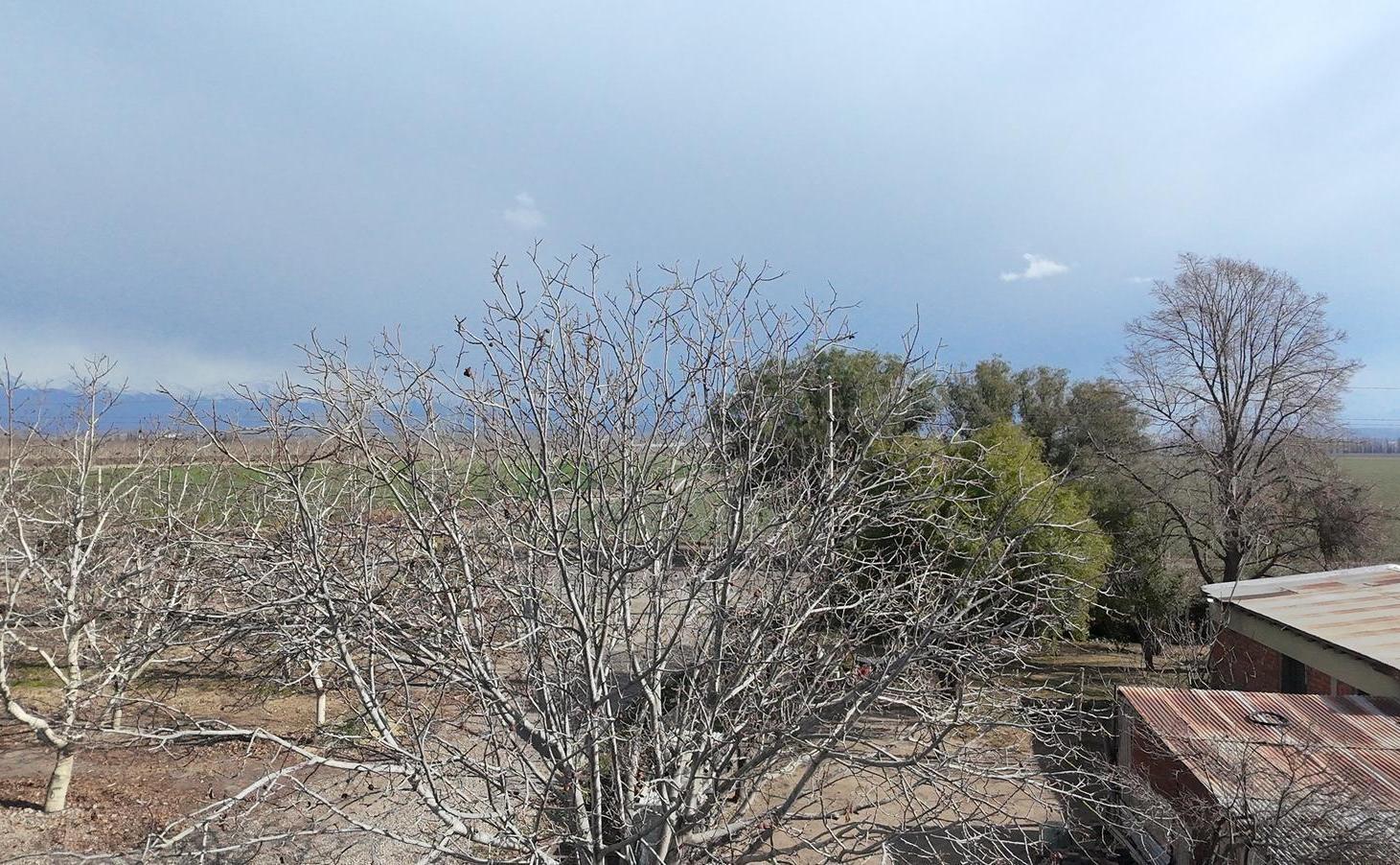 Foto de Finca de 10 hectáreas en venta Corredor Productivo Ruta 99 Tupungato., imagen 4