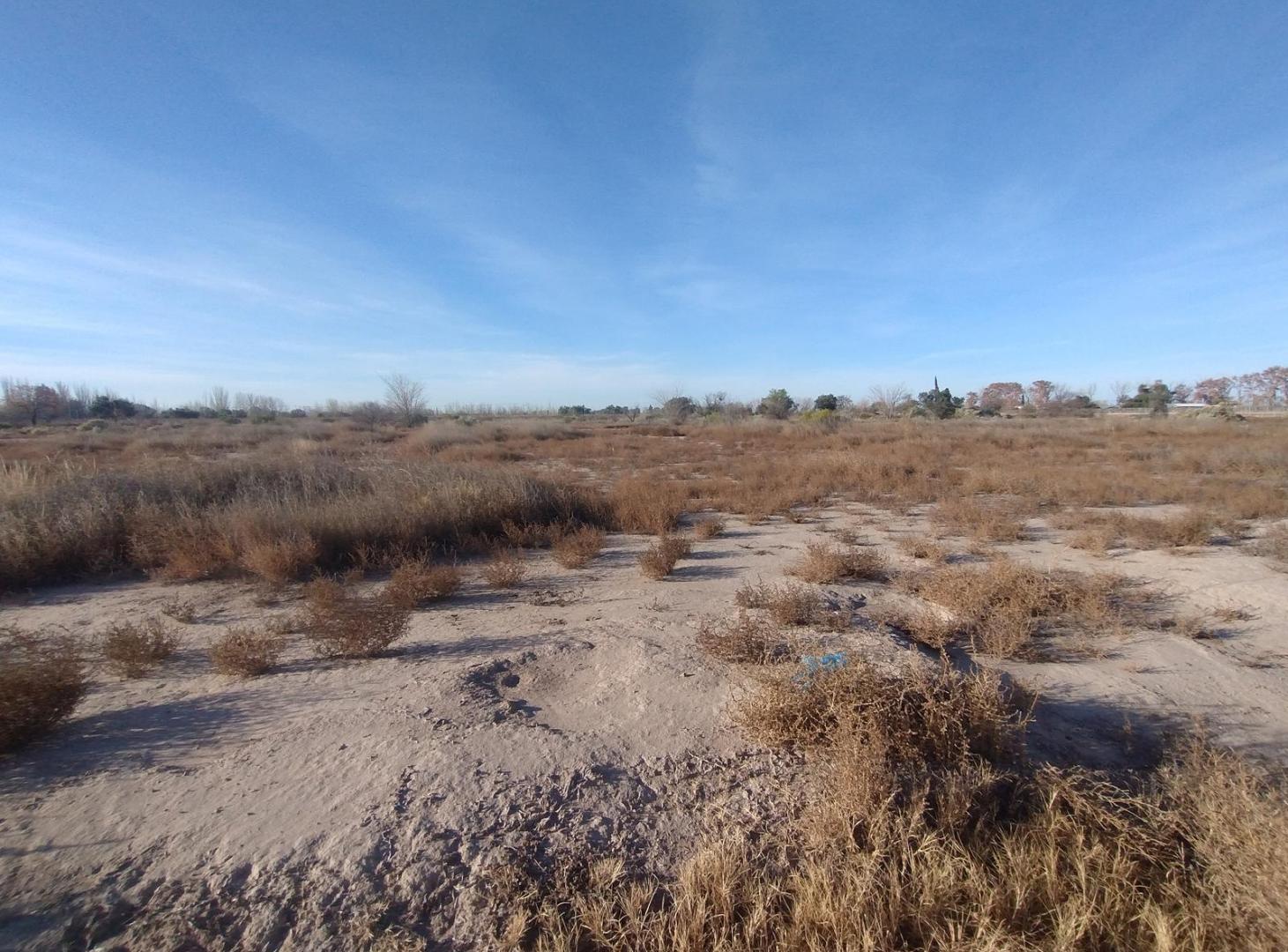 Foto de Gran Terreno en Venta, imagen 2
