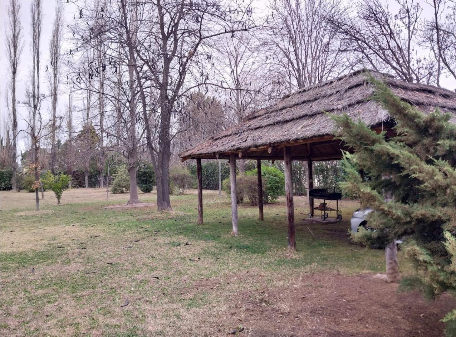 Foto de Venta propiedad con gran potencial en Vistalba, imagen 5