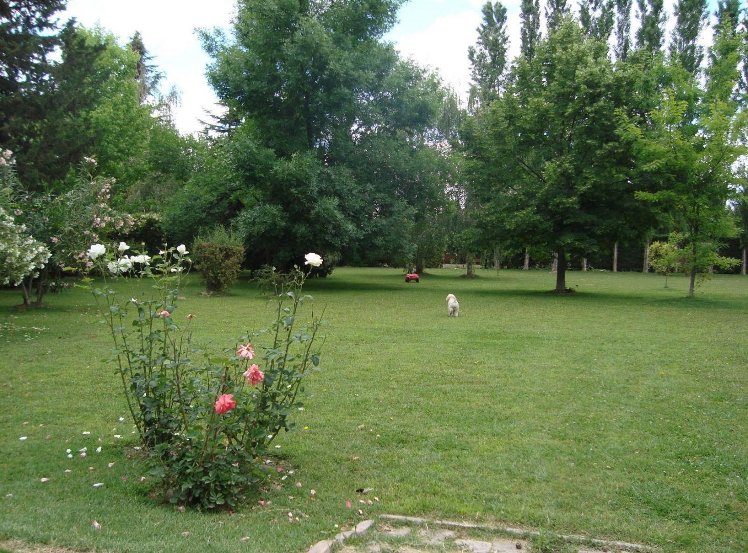 Foto de Venta propiedad con gran potencial en Vistalba, imagen 3