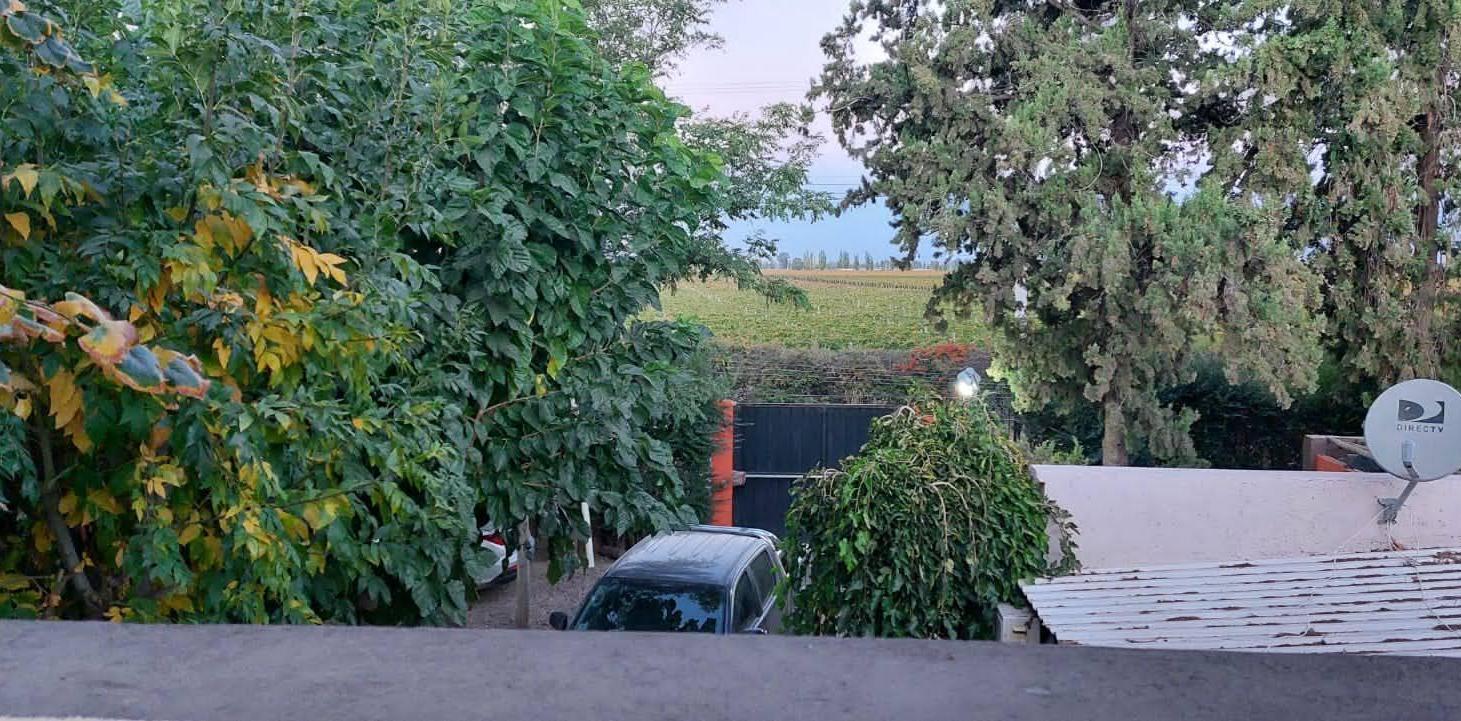 Foto de Hermosa Casa de Categoria en Rodeo del Medio | Gran parque con piscina, imagen 5