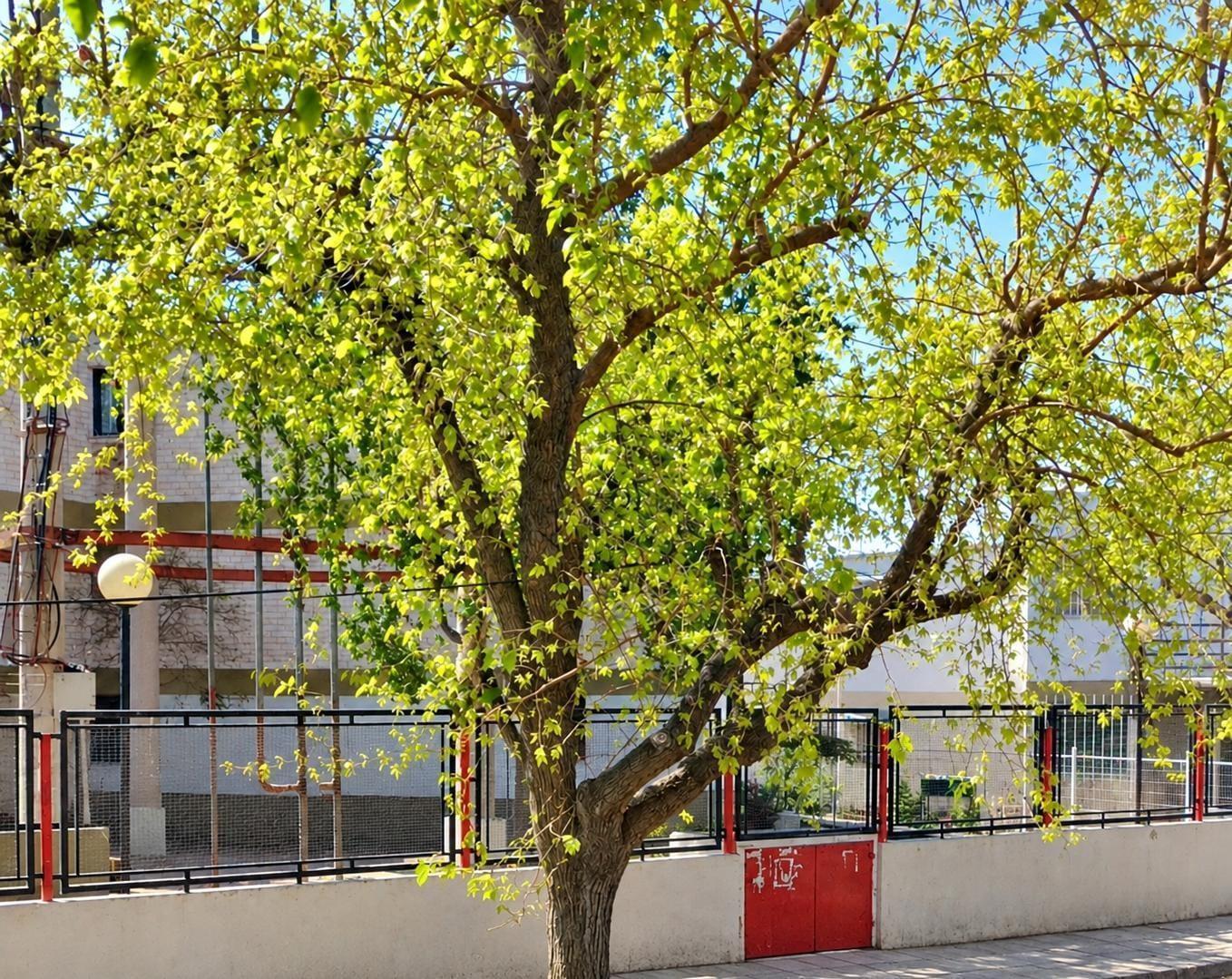 Foto de VENTA DE DEPARTAMENTO CALLE PASCUAL SEGURA, LAS HERAS, imagen 1