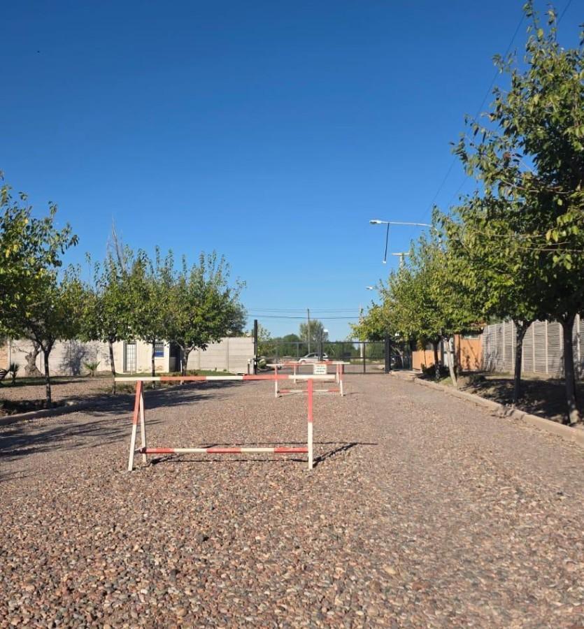 Foto de Terreno en Rodeo De La Cruz, imagen 2
