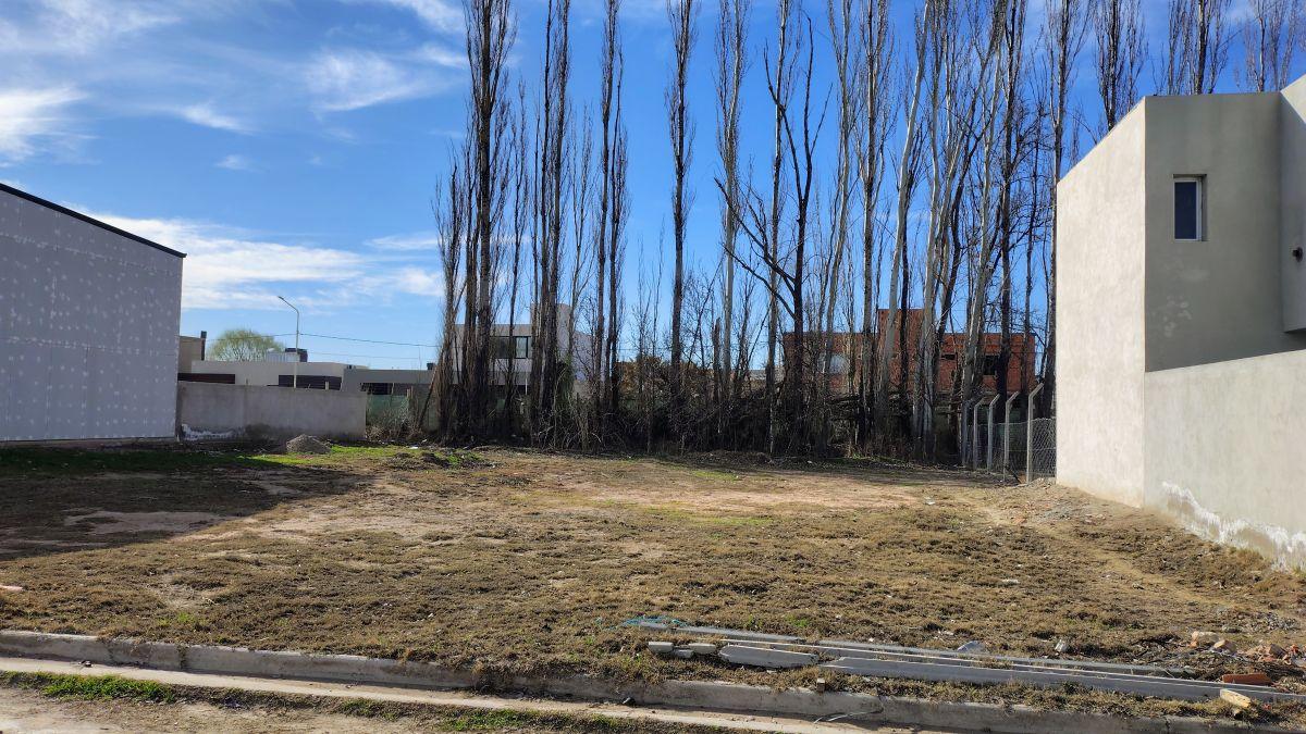 Foto de TEMI CONSULTORA VENDE TERRENOS EN BARRIO "TIERRA MANSA". CENTENARIO, imagen 2
