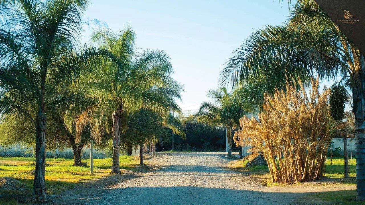 Venta Lotes desde 400m2 en Barrio Residencial Terrazas del Alba 3