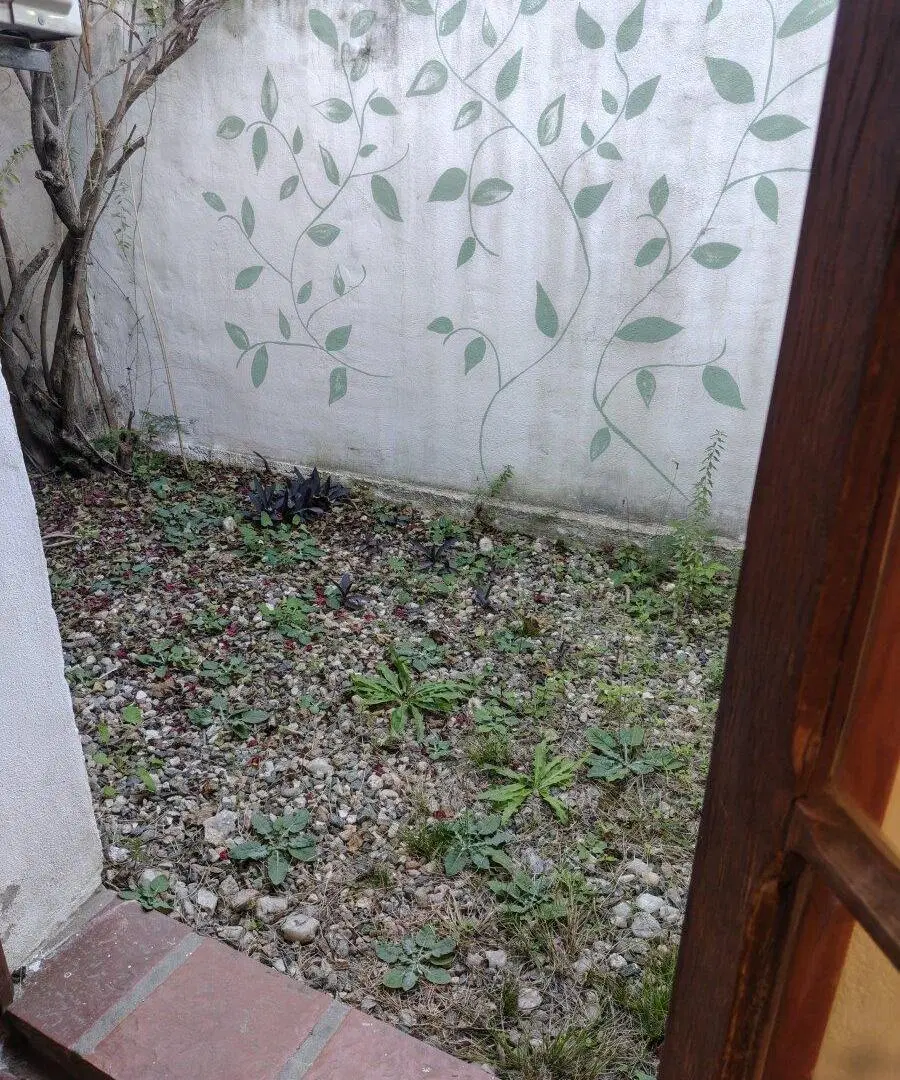 Monoambiente en Alquiler – Ideal Consultorios / Uso Profesional 4