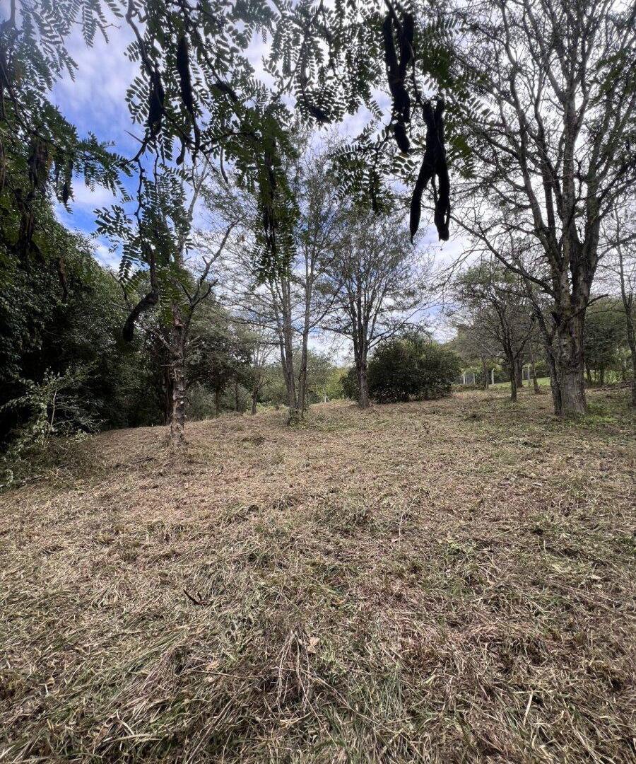 Foto de MACRO LOTE EN VENTA – VILLA WARCALDE, imagen 4