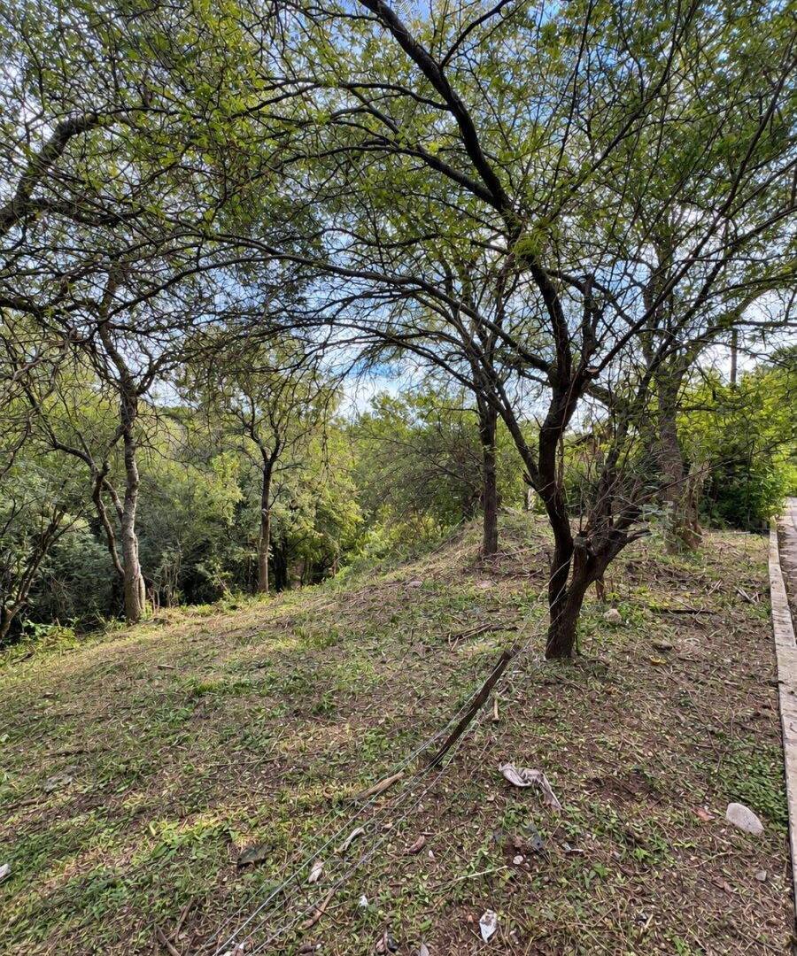 Foto de MACRO LOTE EN VENTA – VILLA WARCALDE, imagen 3