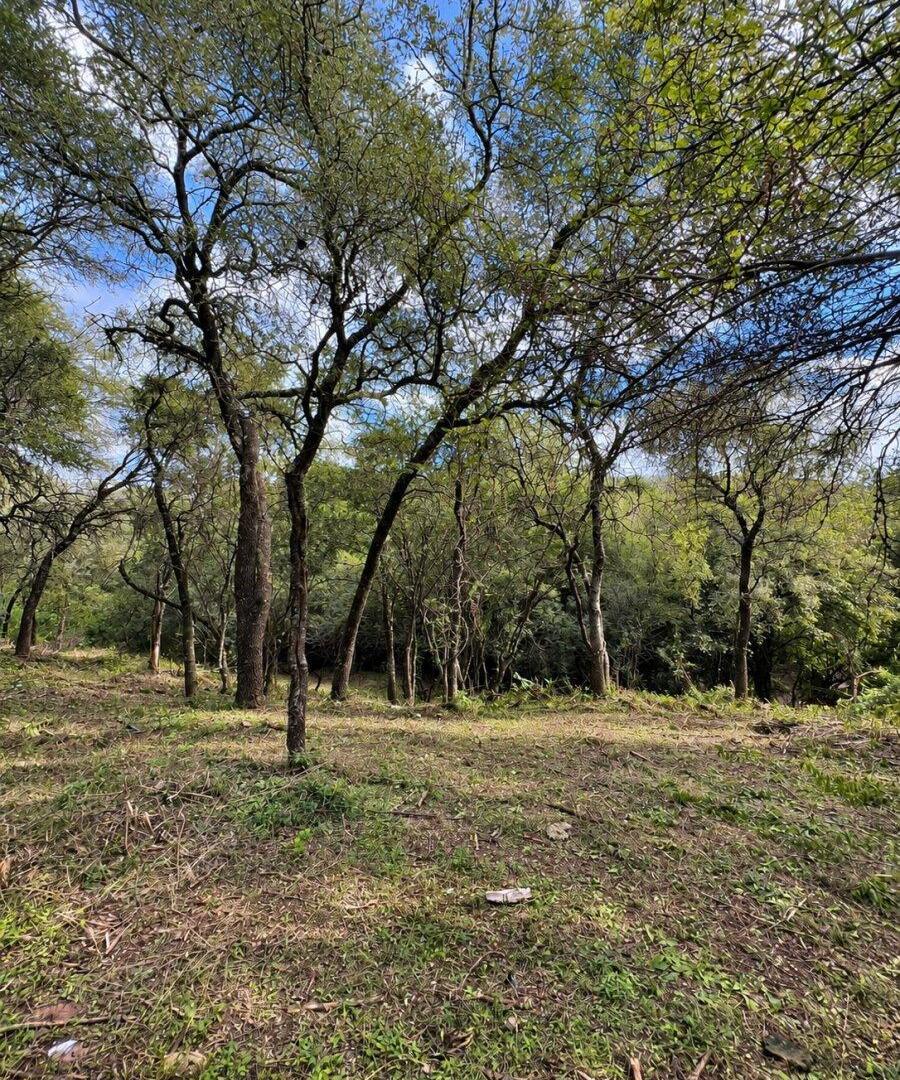 Foto de MACRO LOTE EN VENTA – VILLA WARCALDE, imagen 1