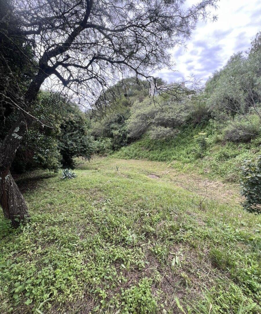 Foto de MACRO LOTE EN VENTA – VILLA WARCALDE, imagen 5