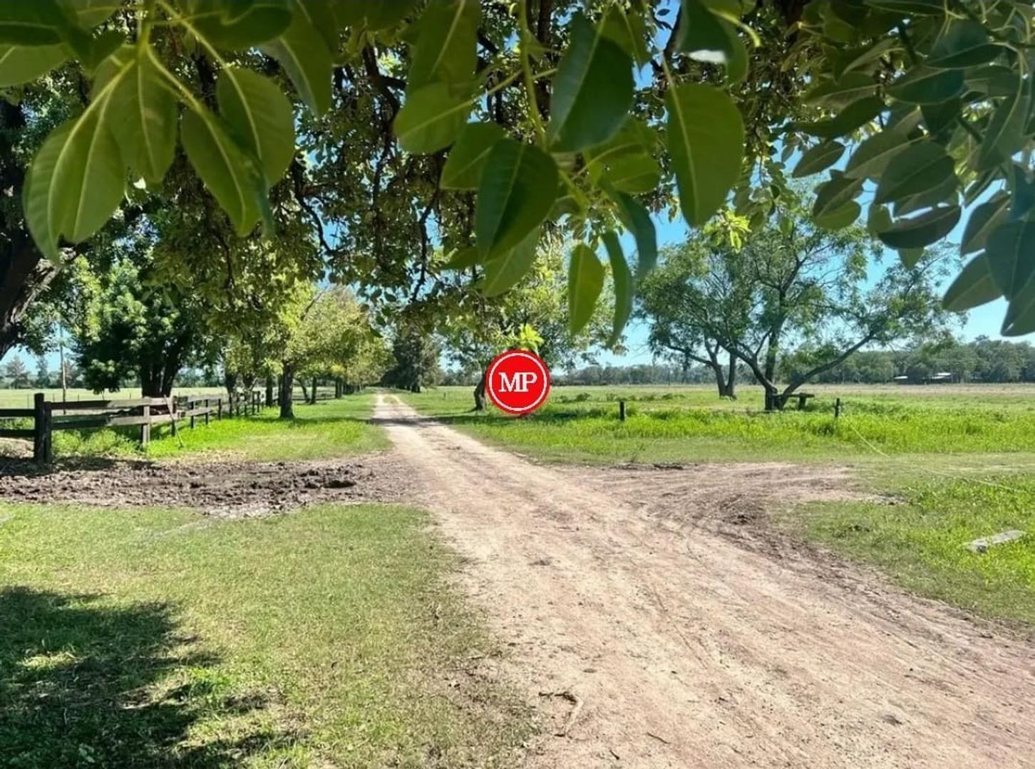 Foto de Posibilidad de adquirir menos hectáreas, imagen 5
