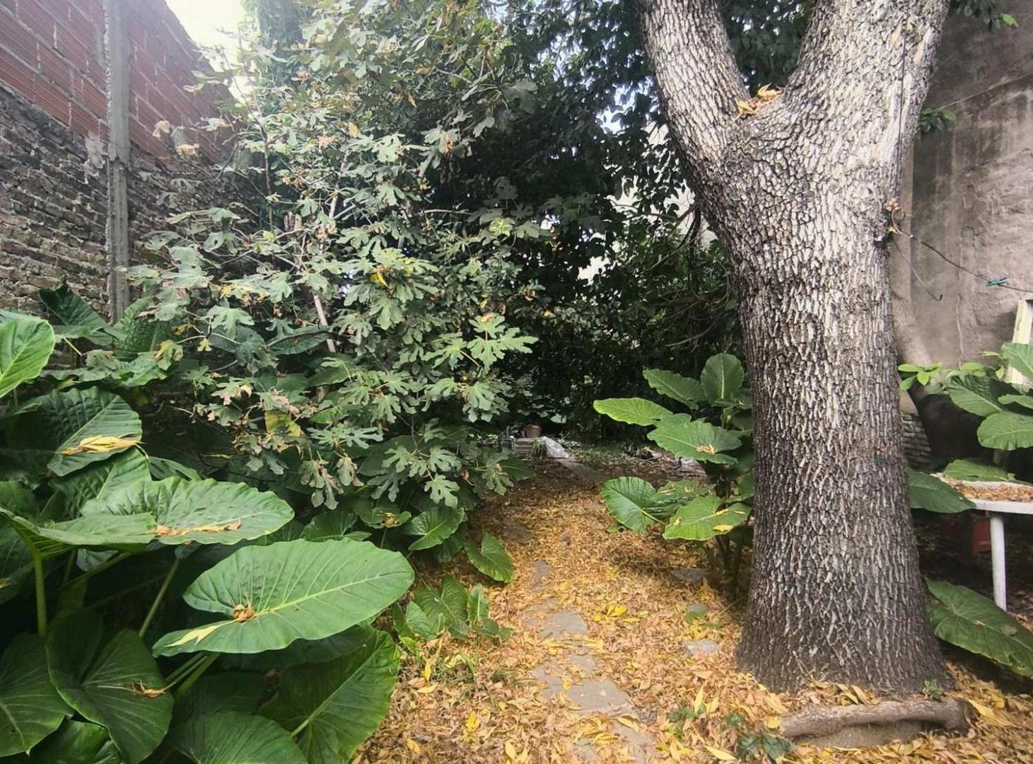 Foto de VENTA CASA A REFACCIONAR/TERRENO/LOTE ZONA FABRIL, imagen 4