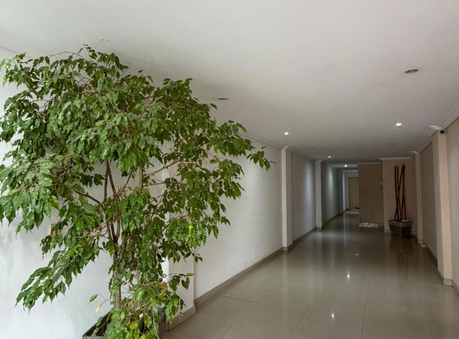 Foto de VENTA DEPARTAMENTO 2 AMBIENTES, VILLA RIACHUELO, imagen 1