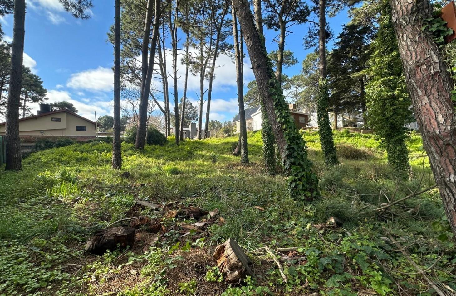 Foto de Venta de Lote en Valeria Del Mar, imagen 5