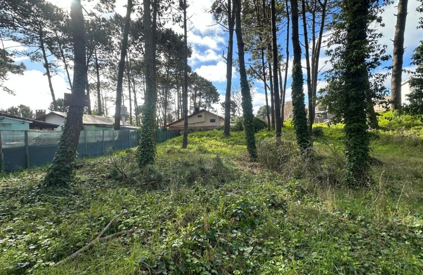 Foto de Venta de Lote en Valeria Del Mar, imagen 2