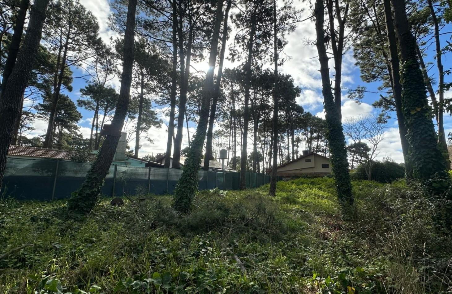 Foto de Venta de Lote en Valeria Del Mar, imagen 1
