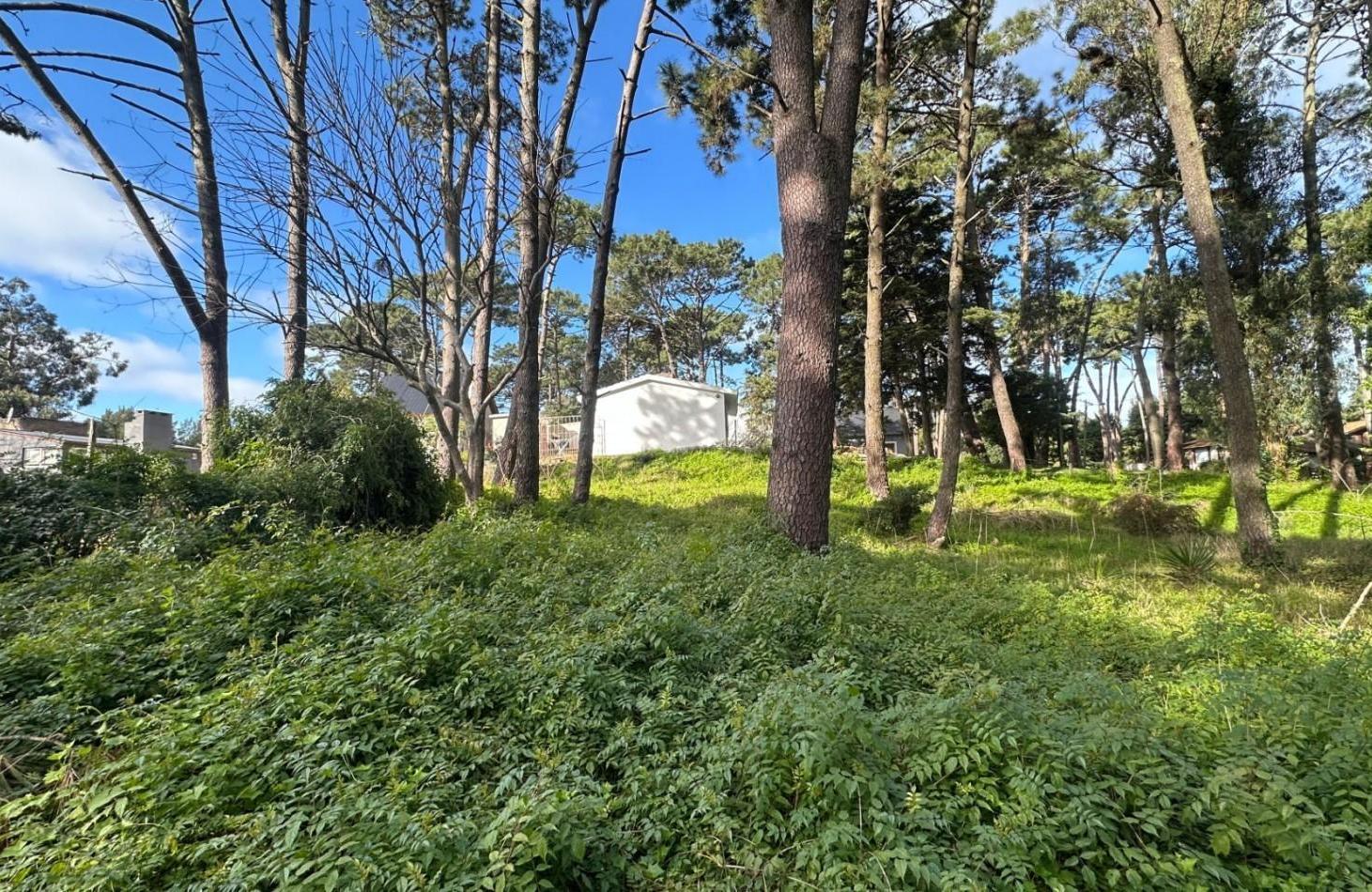 Foto de Venta de Lote en Valeria Del Mar, imagen 4