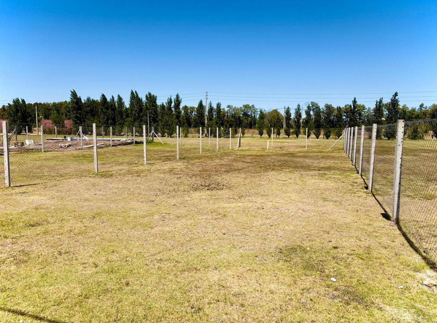 Foto de VENTA-TERRENO-CANNING-ESTILO CAMPO, imagen 5