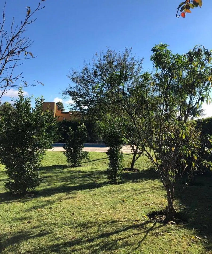 ¡Oportunidad! Casa en venta en Las Delicias | 470 m² cubiertos 3