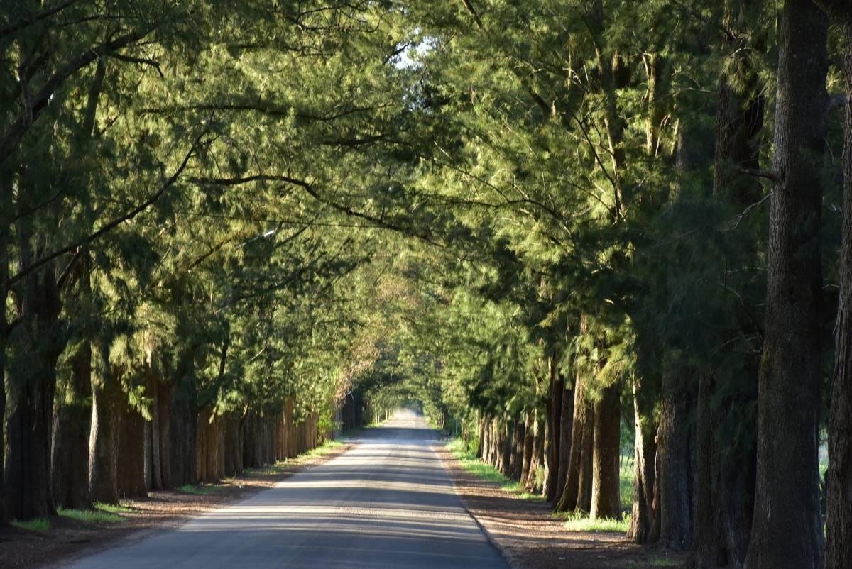 LOTE EN VENTA EN LA PLATA EN BARRIO CERRADO