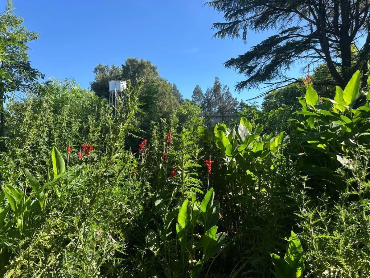 Foto de Lote en venta en Villa Elisa, imagen 2