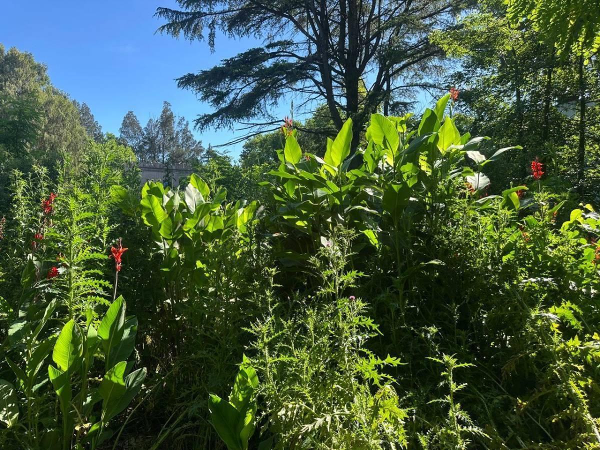 Foto de Lote en venta en Villa Elisa, imagen 3