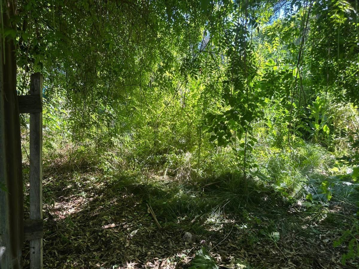 Foto de Lote en venta en Villa Elisa, imagen 4