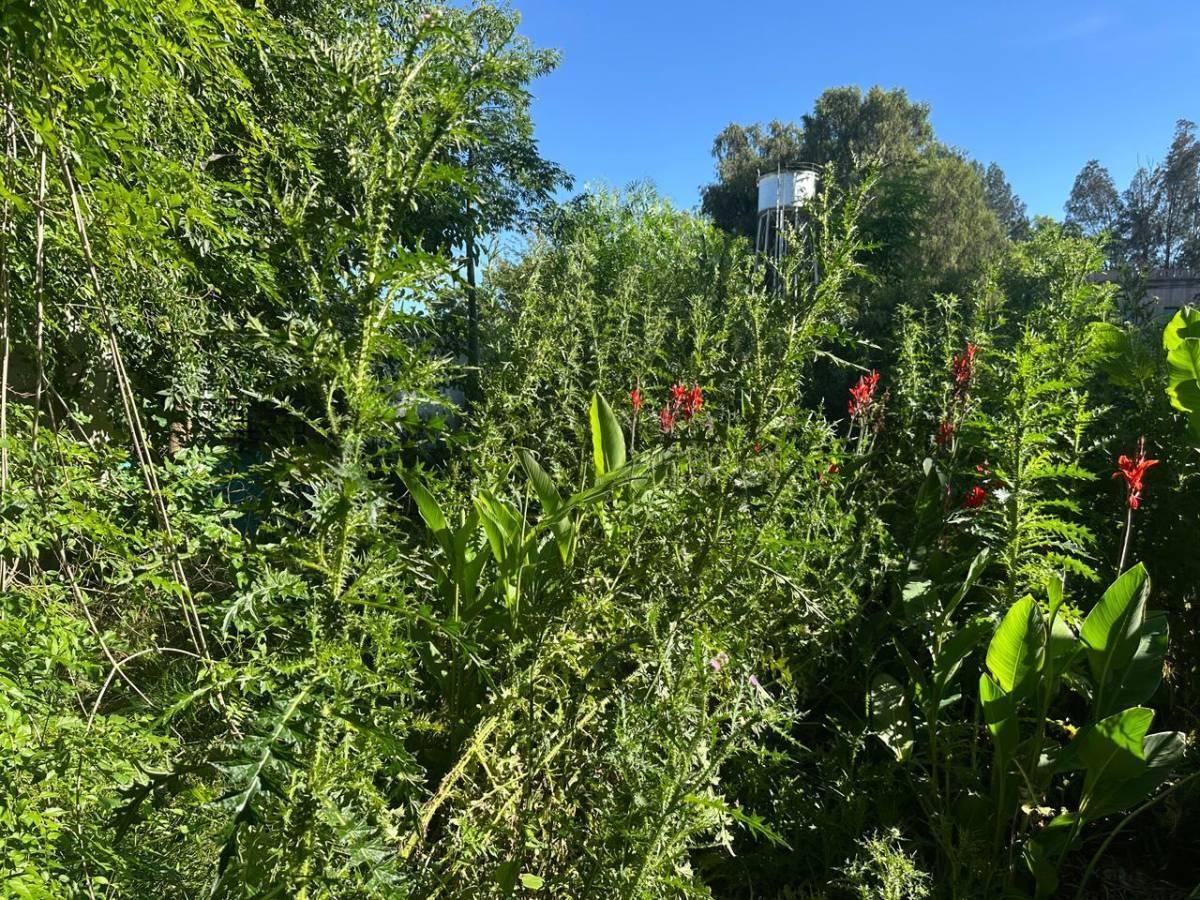 Lote en venta en Villa Elisa