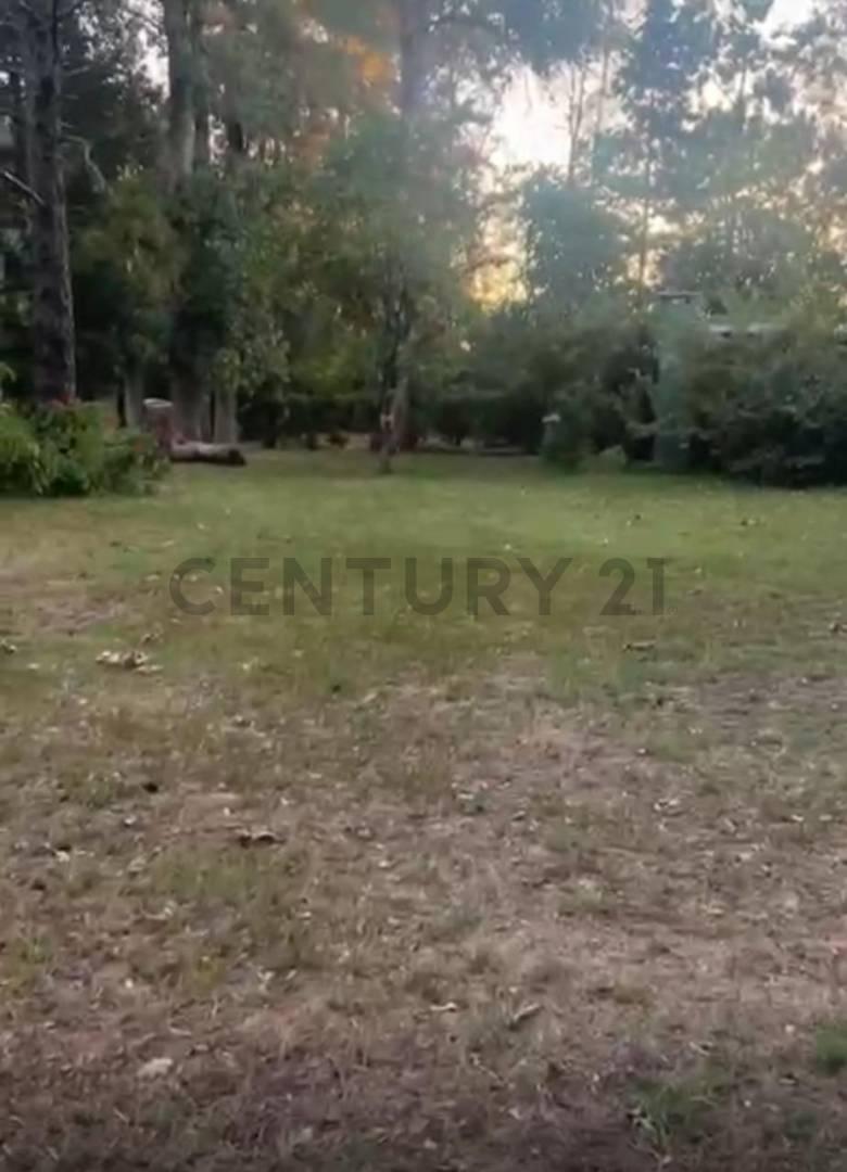 Foto de 2 hectareas en venta en Abasto, imagen 2