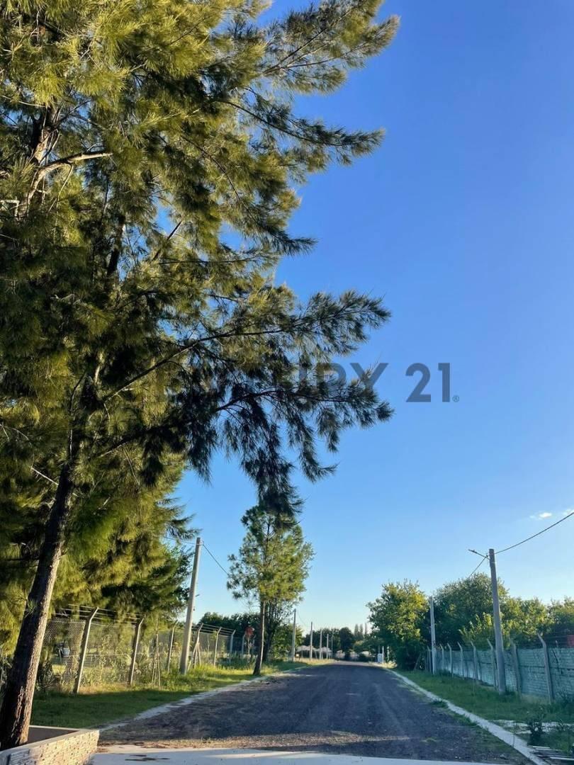 Lote en venta en City Bell
