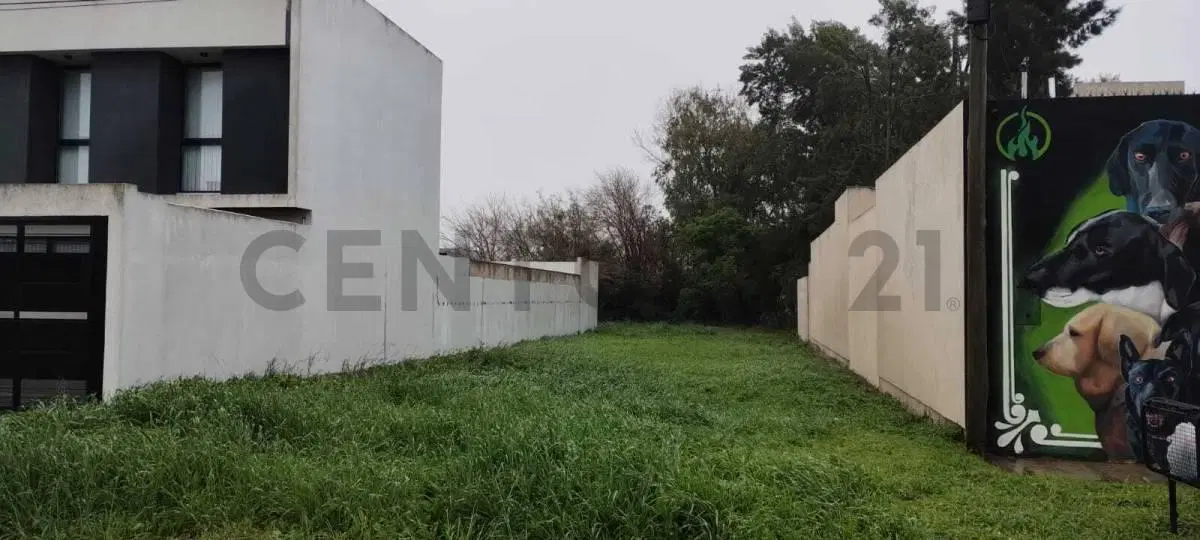LOTE EN VENTA EN SAN CARLOS LA PLATA 3