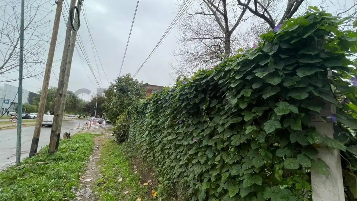 Lote/terreno en venta 526 esquina 30 5