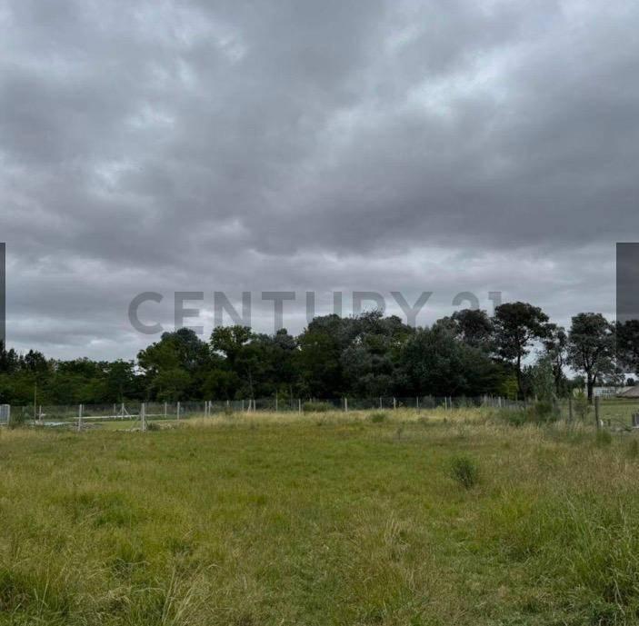 Terreno en venta de Arturo Segui de 467 metros cuadrados