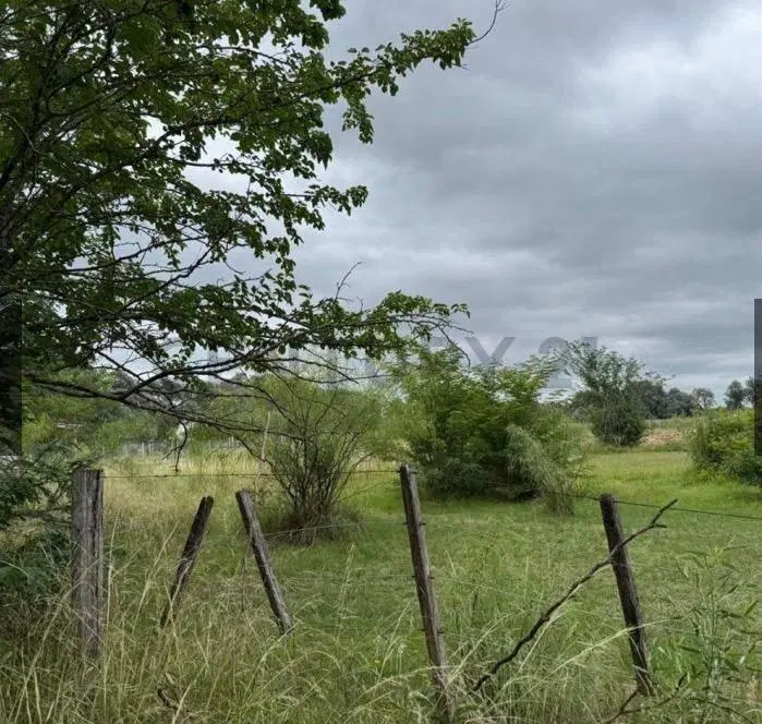 Terreno en venta de Arturo Segui de 467 metros cuadrados 2