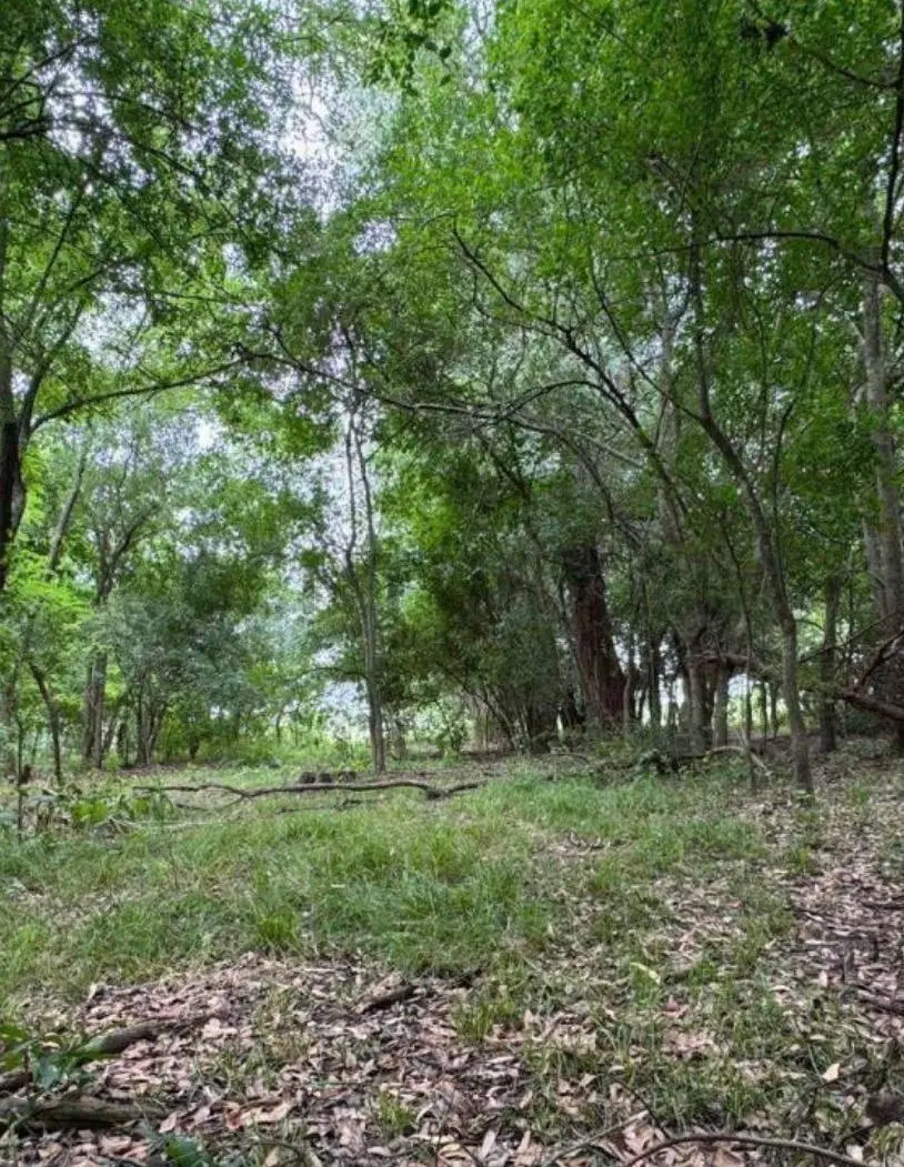 Terreno en venta de Arturo Segui de 467 metros cuadrados 5