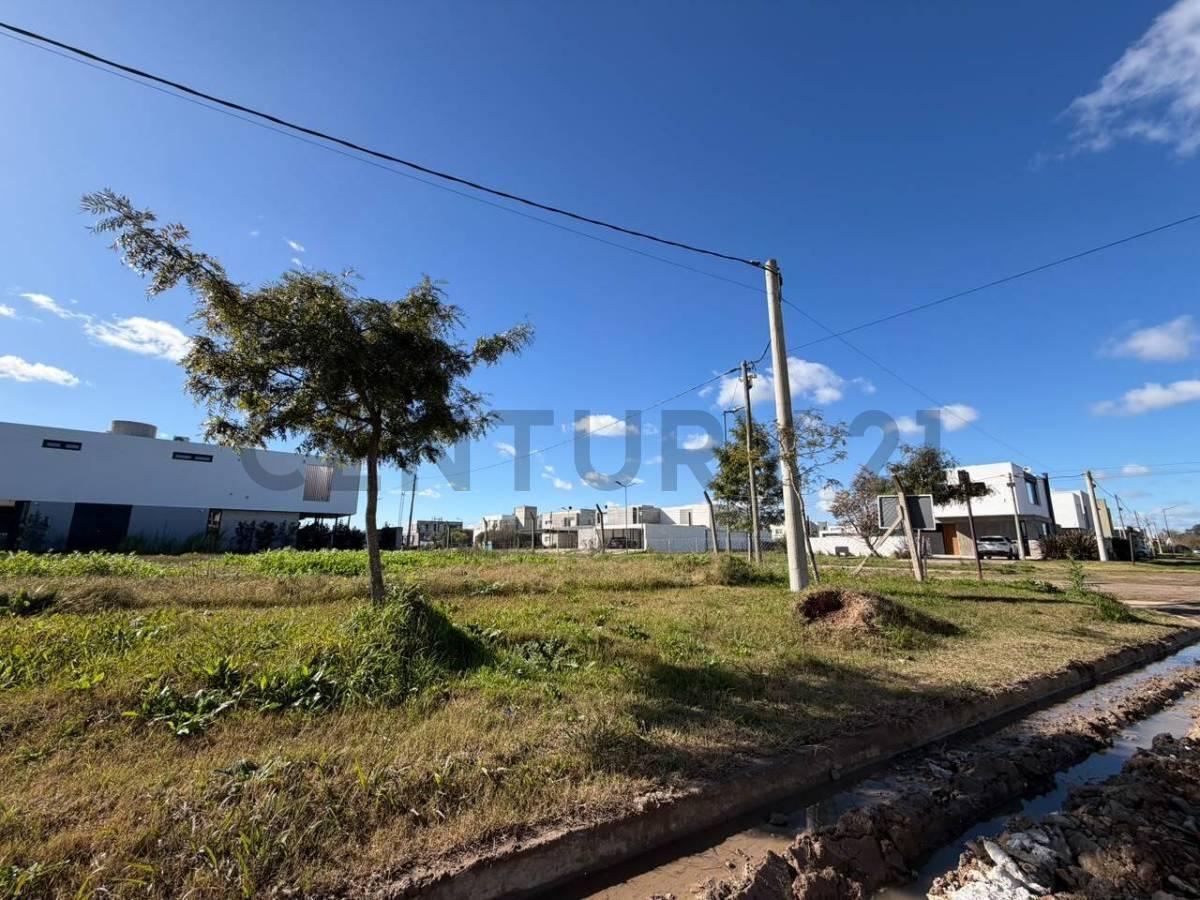 Foto de LOTE EN VENTA - EL QUIMILAR - CITY BELL, imagen 4