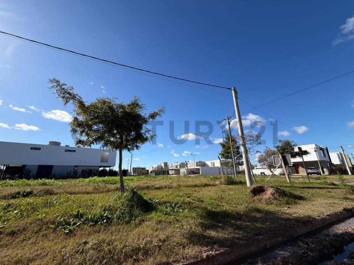 Foto de LOTE EN VENTA - EL QUIMILAR - CITY BELL, imagen 1