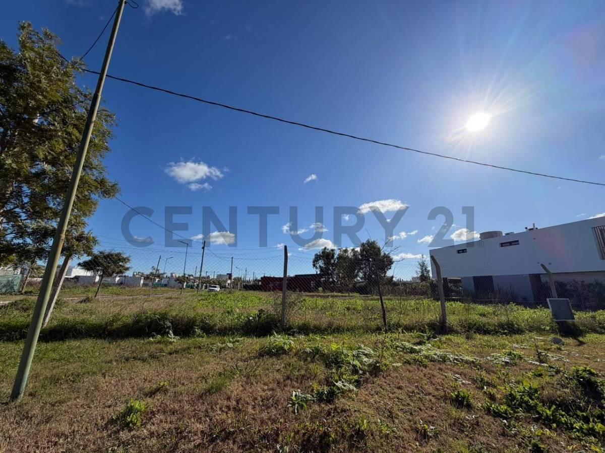 Foto de LOTE EN VENTA - EL QUIMILAR - CITY BELL, imagen 5