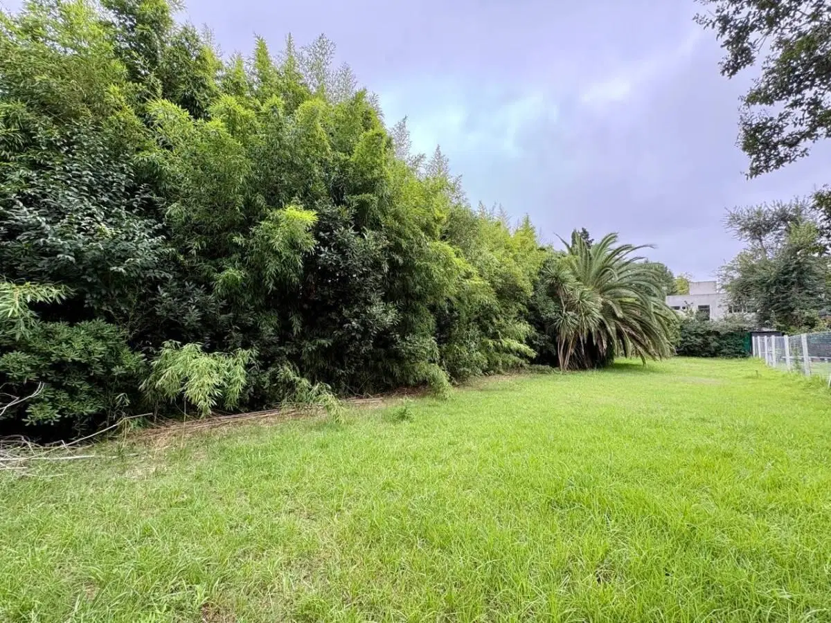 Lote en venta en Gonnet 3