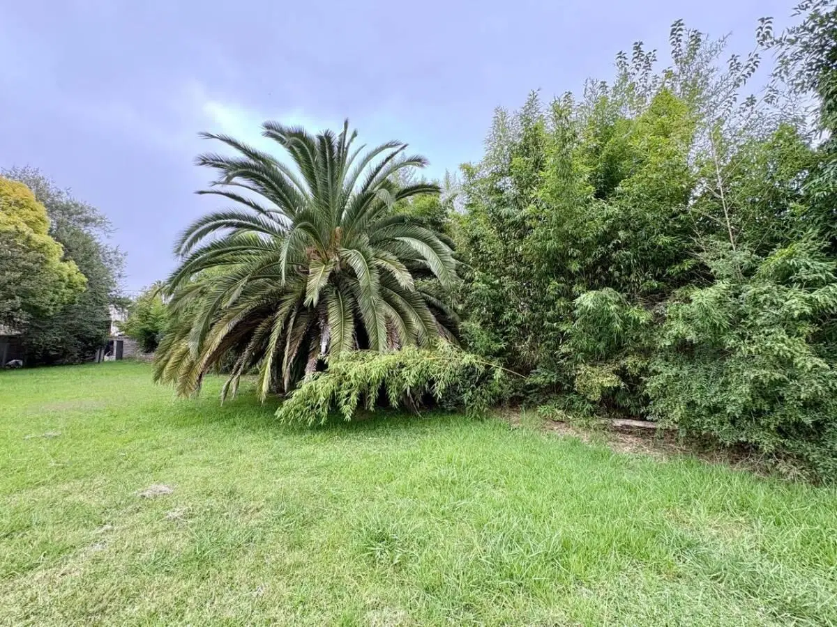 Lote en venta en Gonnet 4