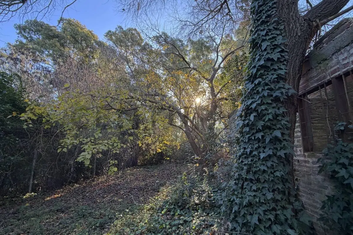 LOTE EN VENTA EN LA PLATA 4