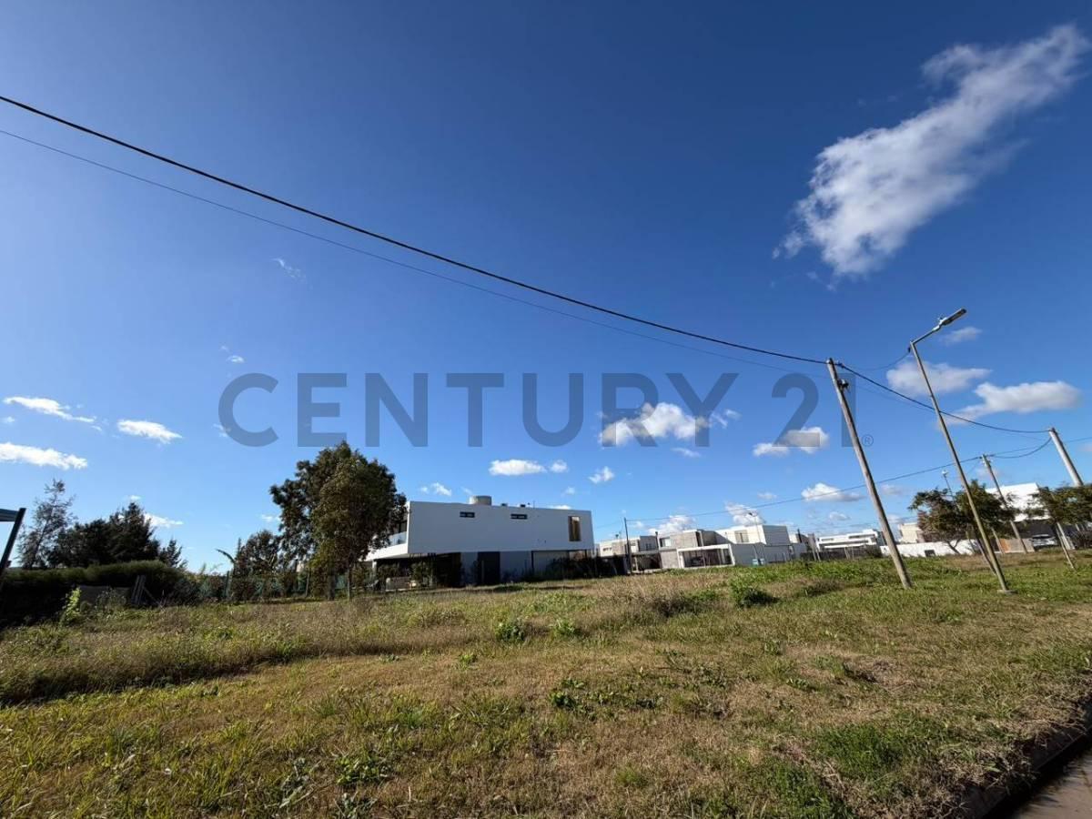 Foto de LOTE EN VENTA EN CITY BELL EL QUIMILAR 266,15M2, imagen 4